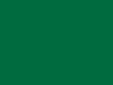 Dark Green Color Chip